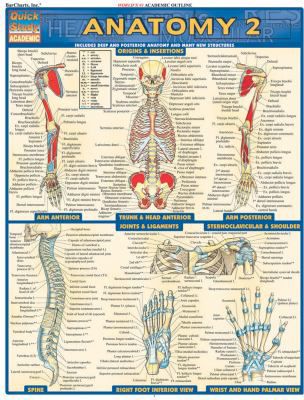ANATOMY 2